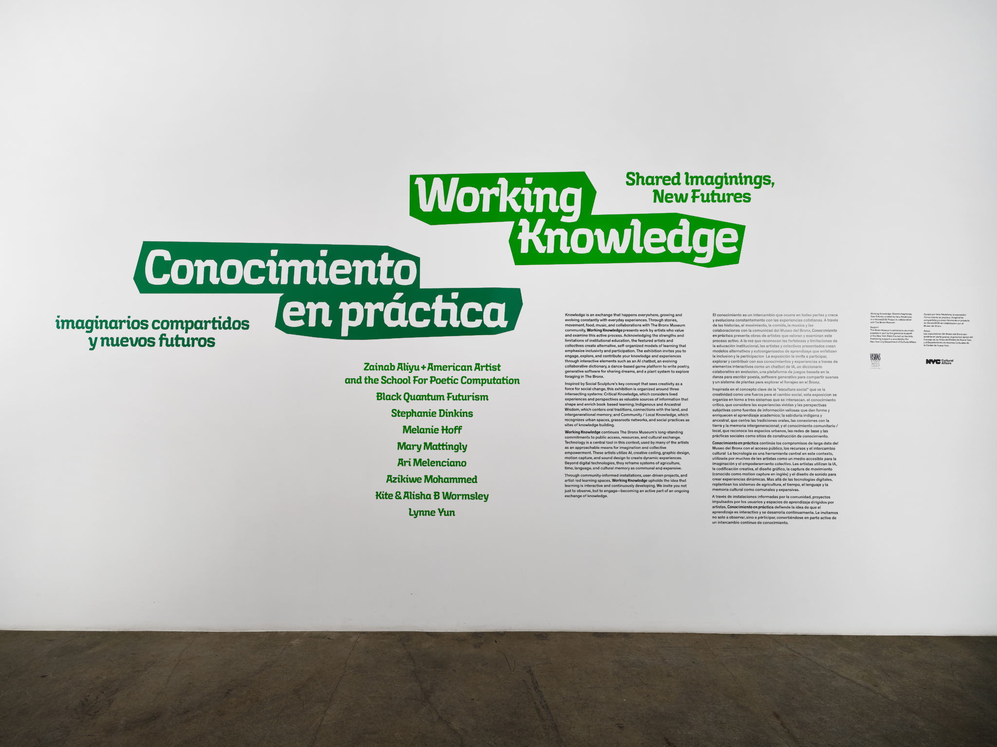 2025_04_14_Argenis_Apoilinario_BxMA_Working_Knowledge_Installs_3020